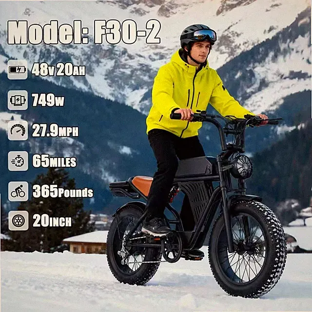 Electric Bicycle with 48V 20Ah Battery, 749W Motor, 27.9MPH Max Speed, 65 Miles